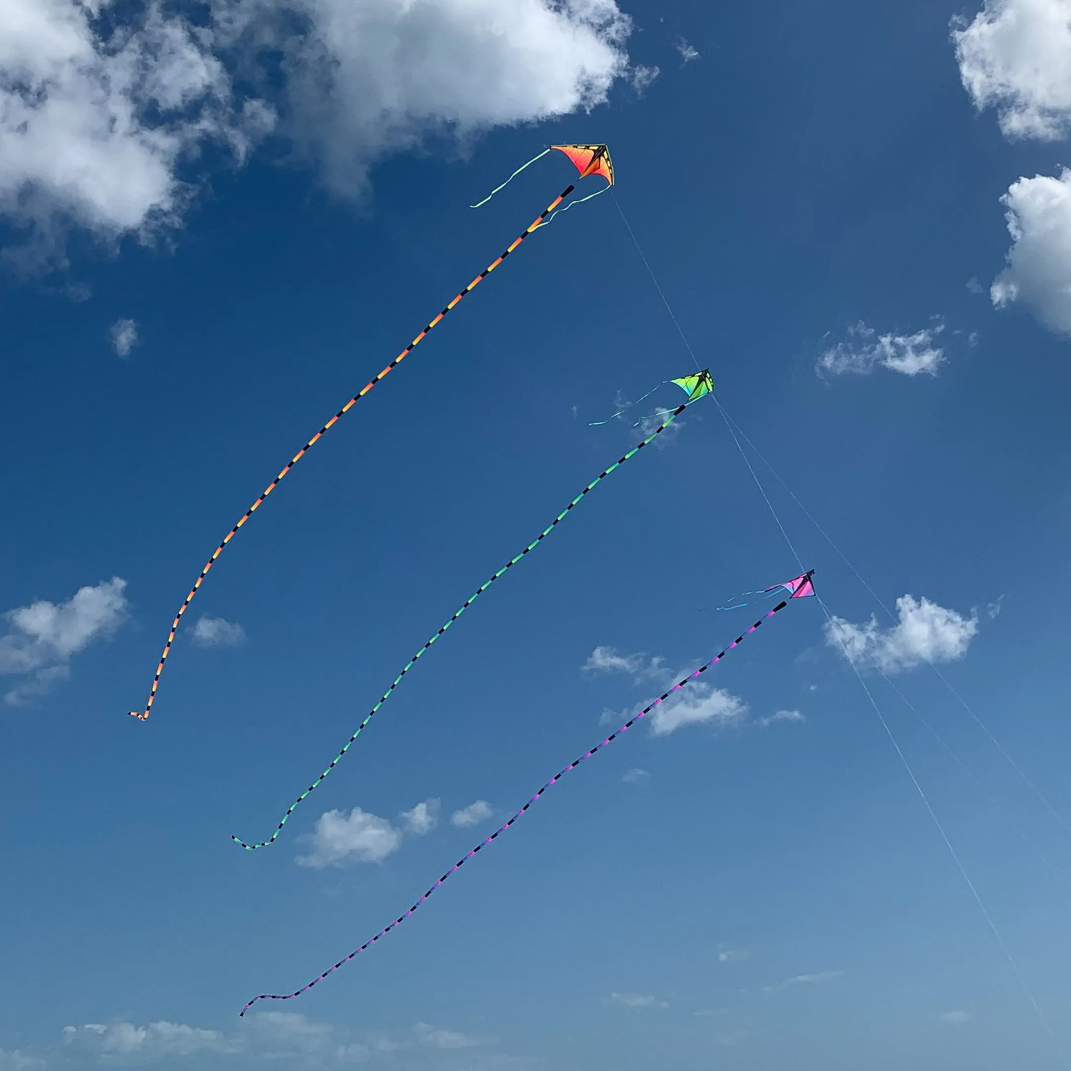 Aurora Tube Tail