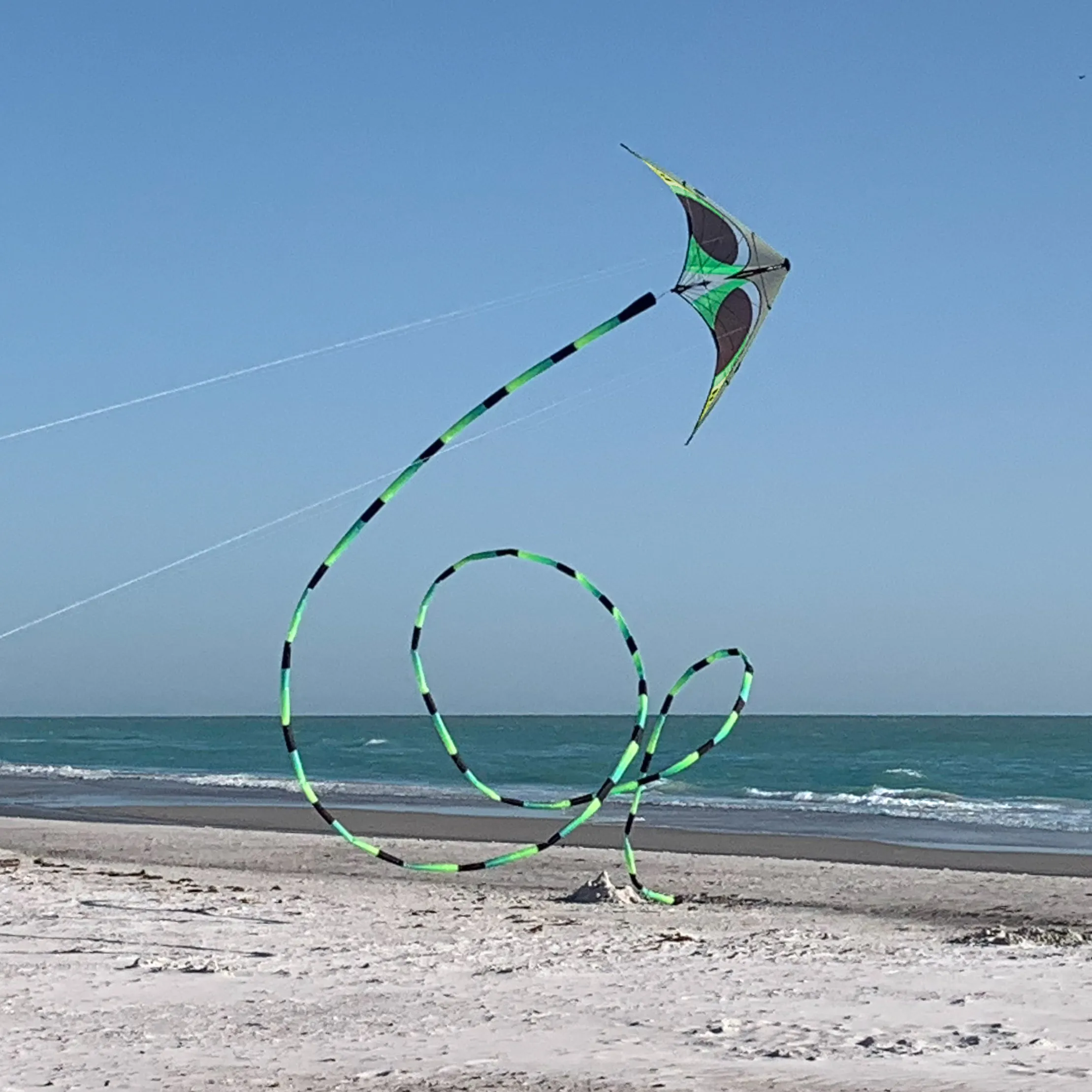 Aurora Tube Tail