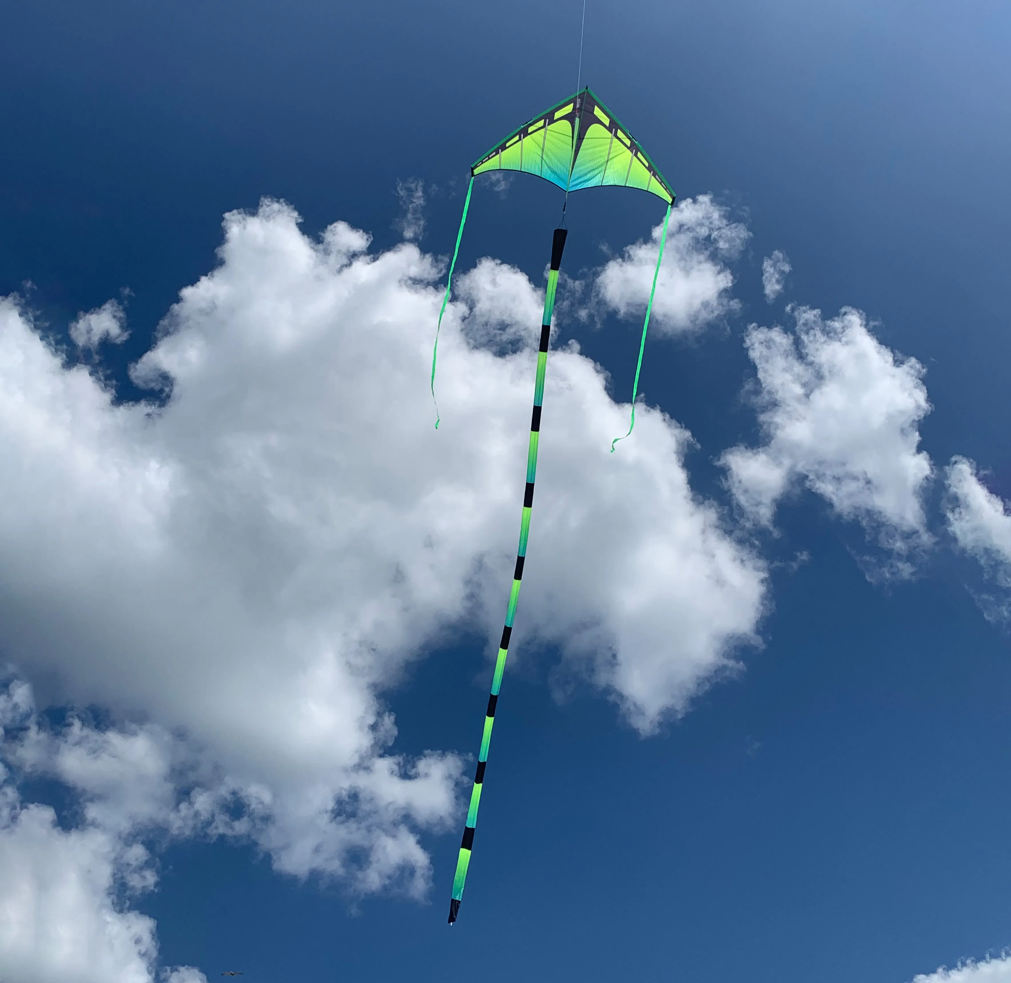 Aurora Tube Tail