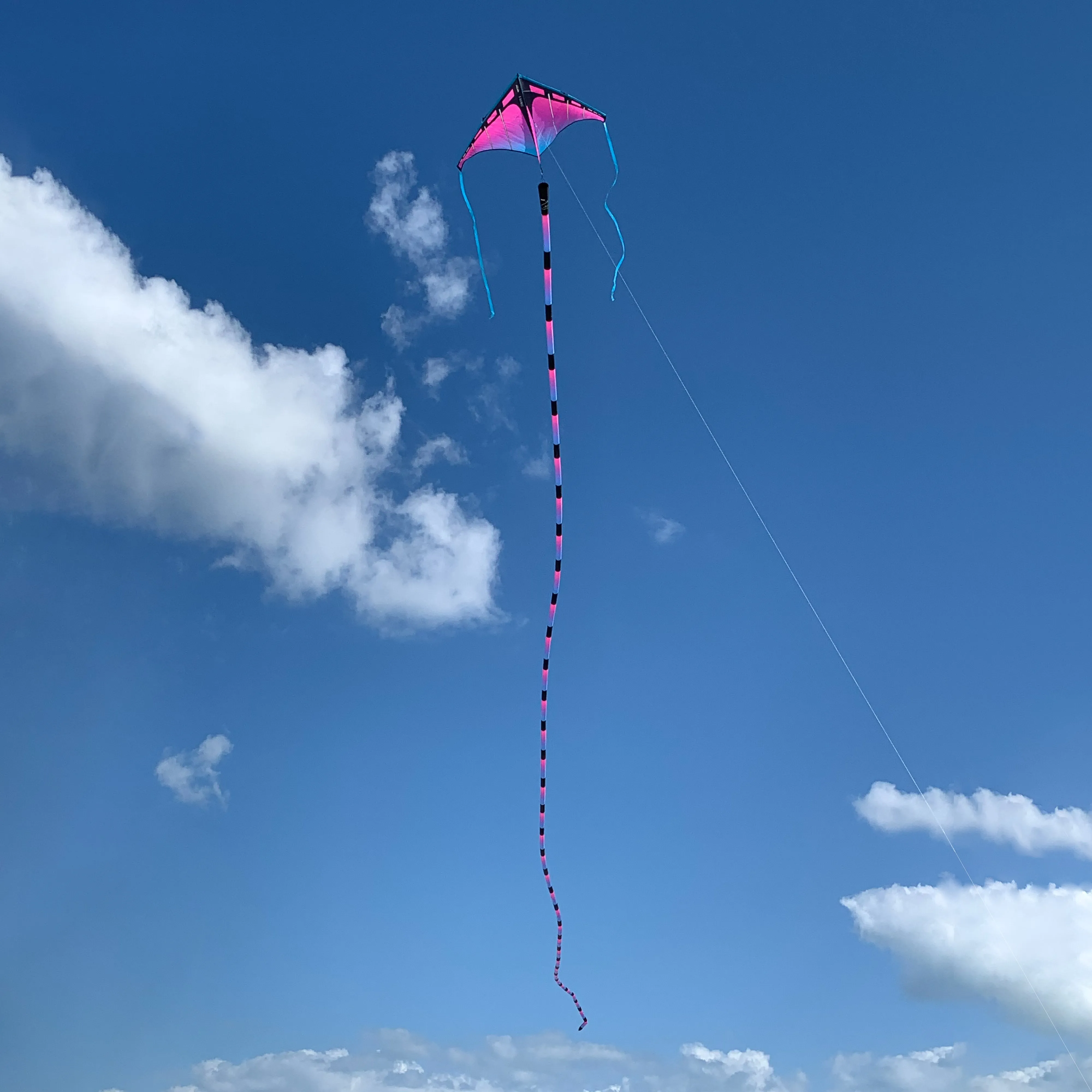 Ultraviolet Tube Tail